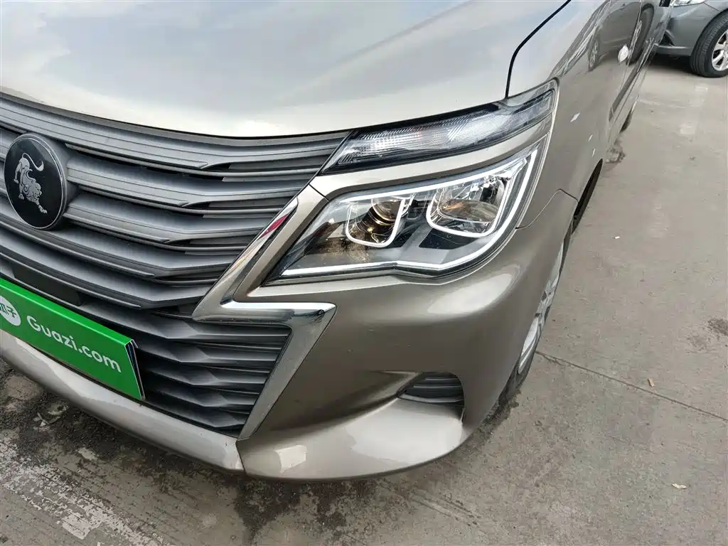 DONGFENG POPULAR LINGZHI