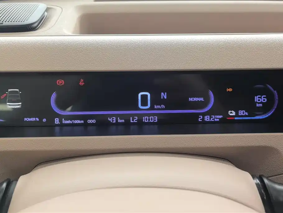 Geely Galaxy Panda 2024 Panda mini 200km Endurance Bear фото 14