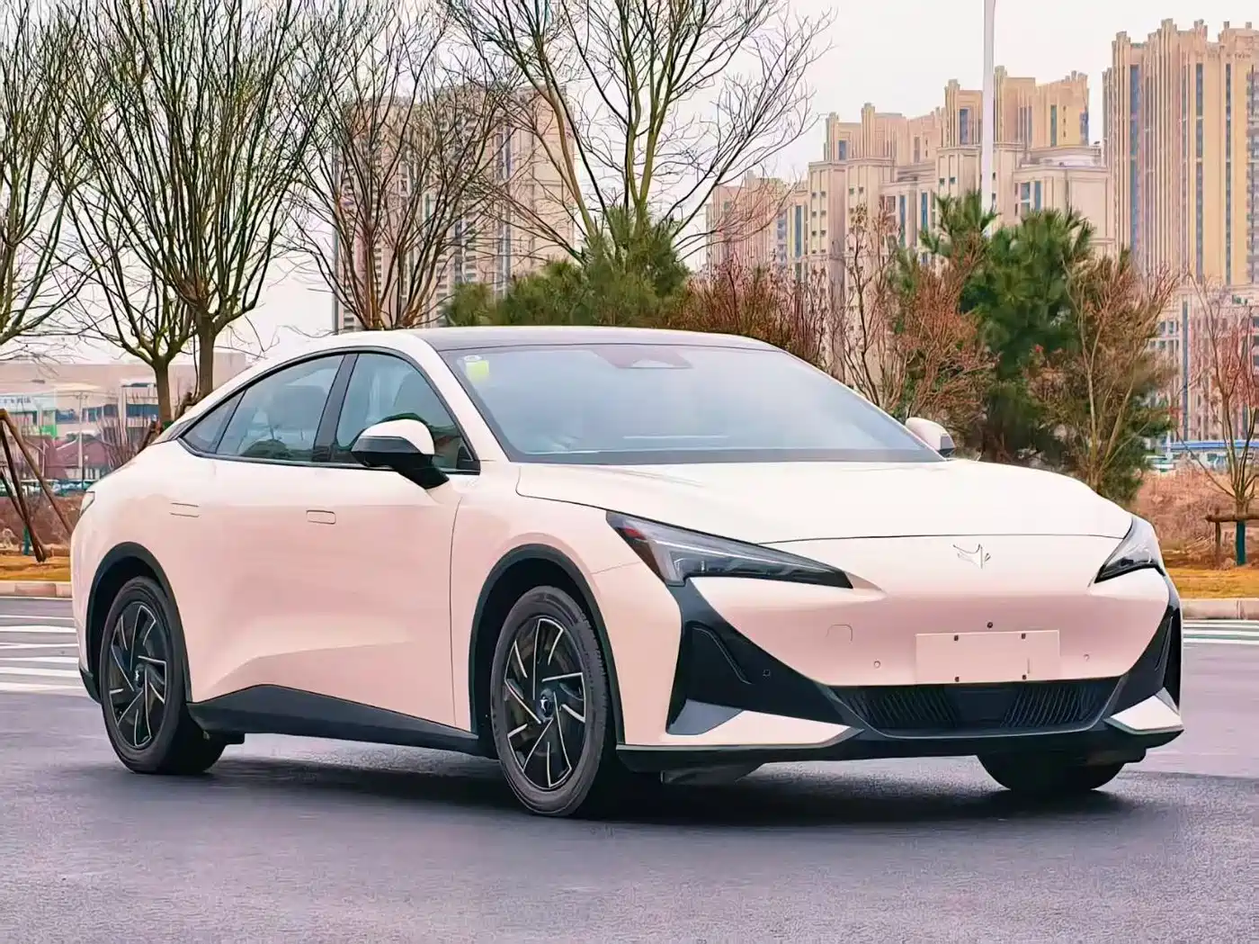 ARCFOX EXTREME FOX POLAR FOX ALPHA S5