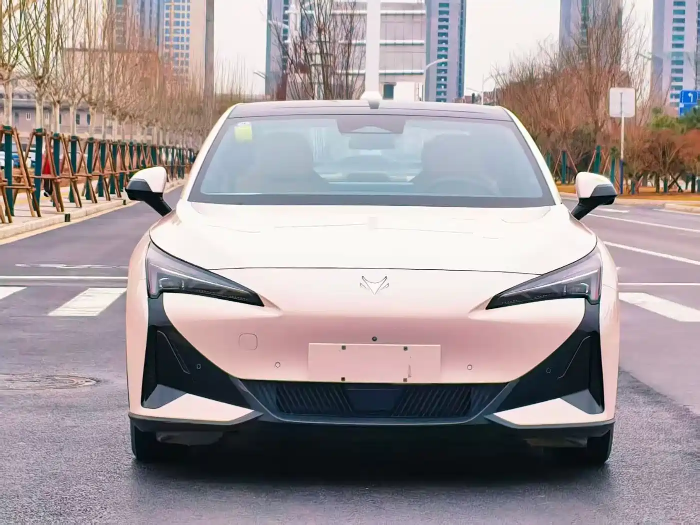 ARCFOX EXTREME FOX POLAR FOX ALPHA S5