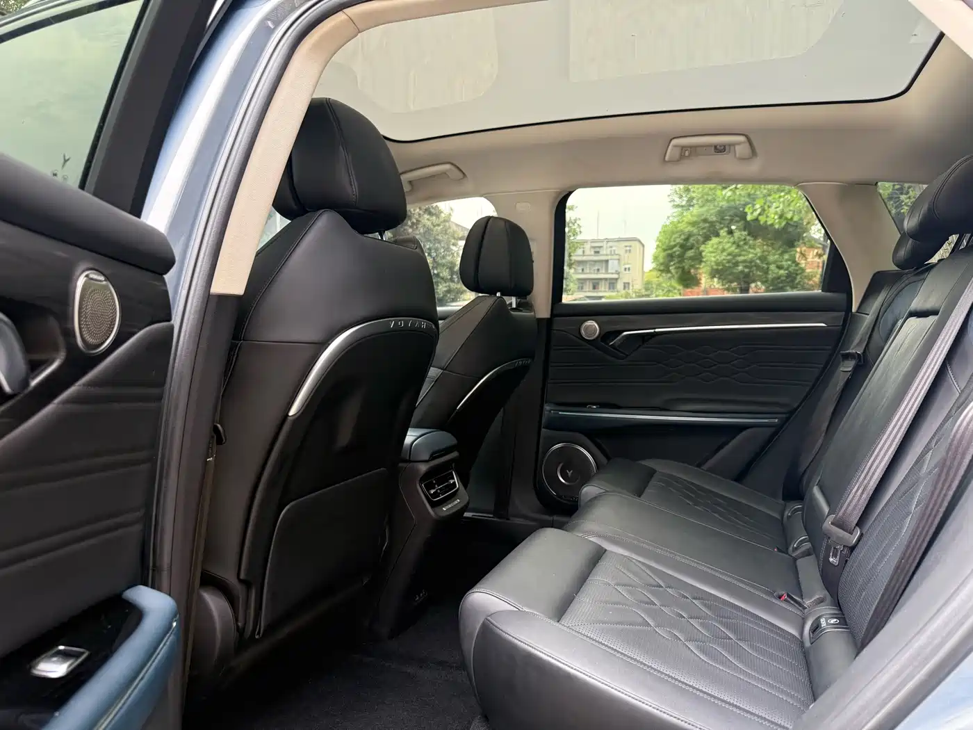 Voyah Free 2022 2021 AWD Standard Pure Electric Exclusive Luxury Package