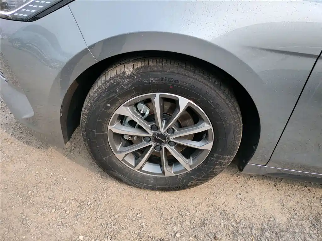 BYD Destroyer 05 2023 Champion Edition DM-i 55KM Luxury фото 23