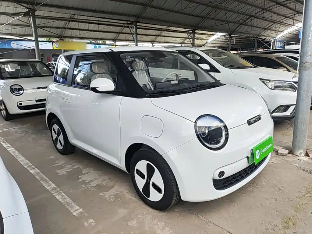 Photo 22 - Changan Lumin