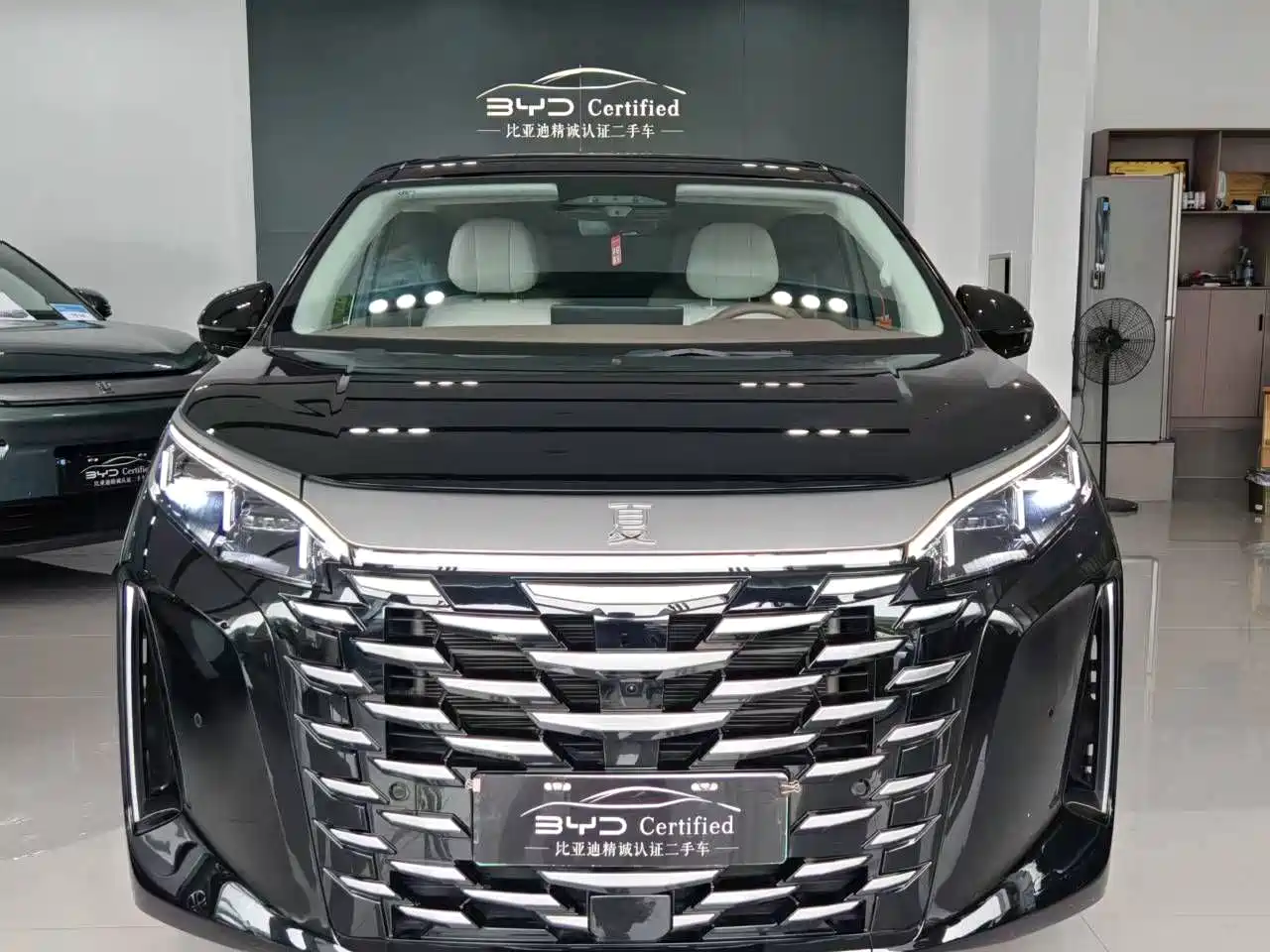 BYD Xia 2025 2025 DM-i 1.5T 180km Excellence