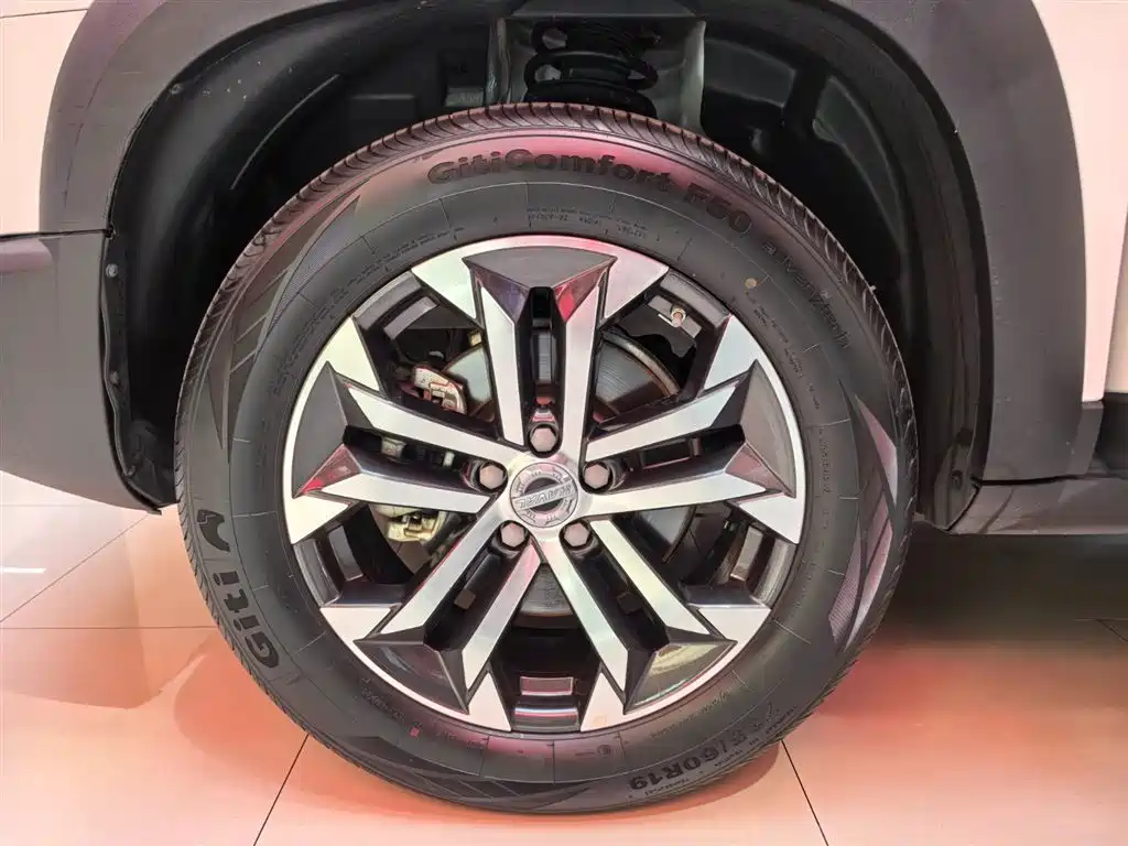 Haval Big Dog 2021 1.5T DCT 2WD Border Collie Edition фото 22