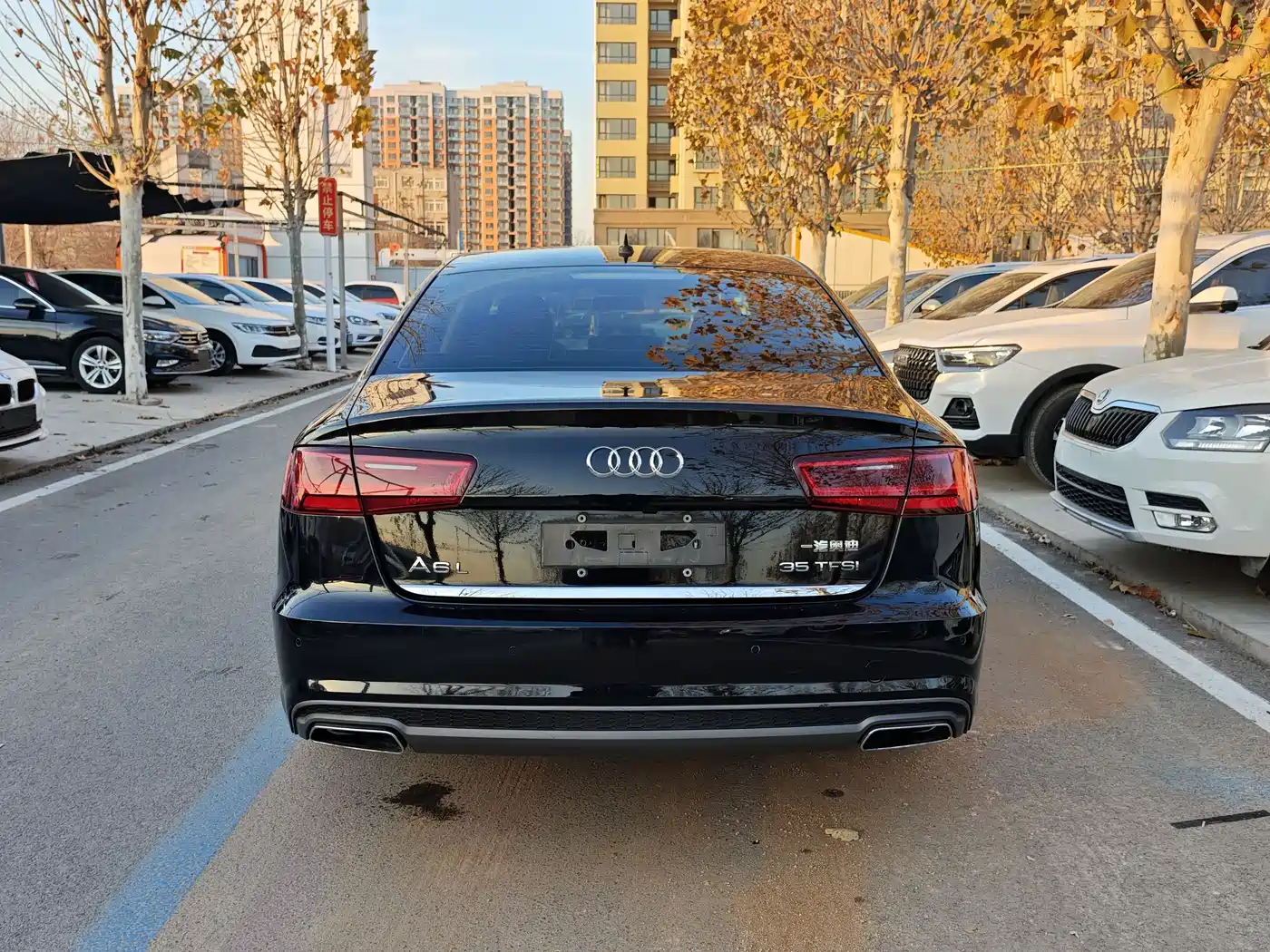 Audi A6L 2018 30th Anniversary 35 TFSI Fashion фото 22