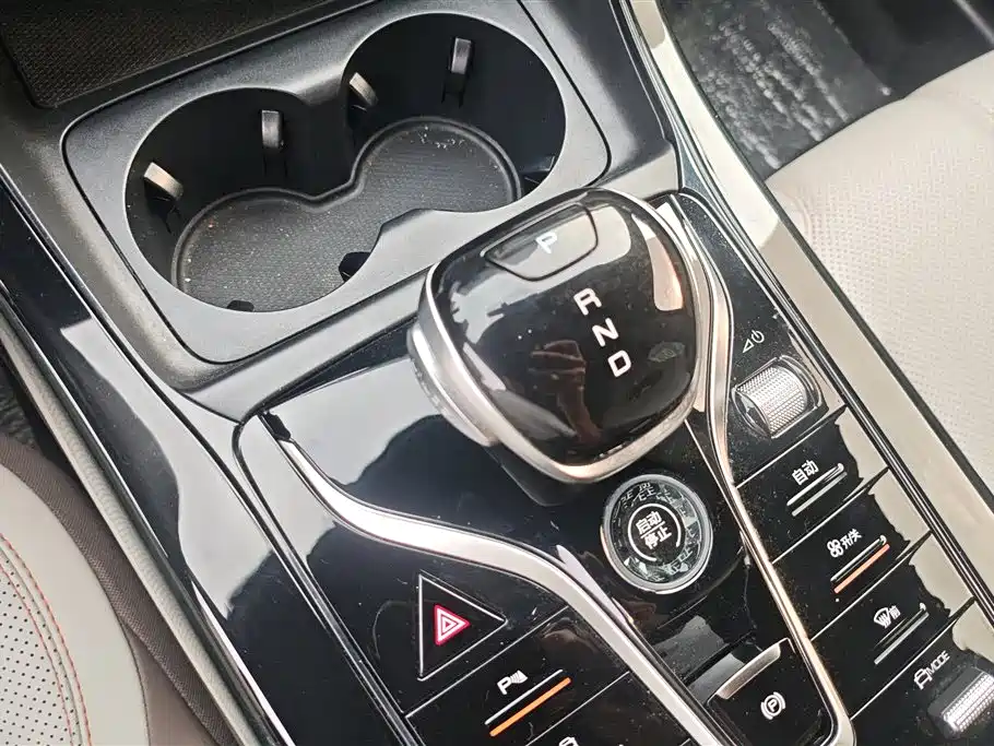 BYD Qin PLUS 2024 Glory Edition DM-i 55KM Leading фото 16