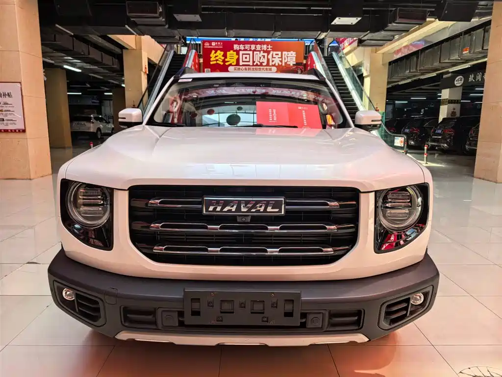 Haval Big Dog 2021 1.5T DCT 2WD Border Collie Edition фото 5
