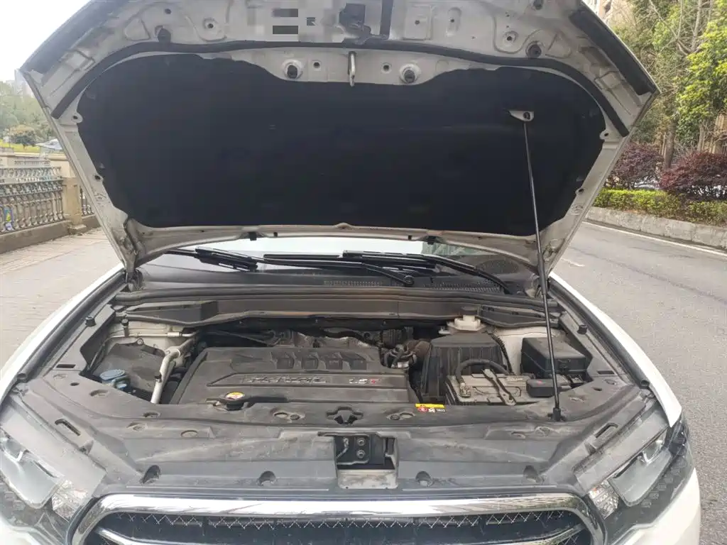 Haval H6 Coupe 2016 Blue Label 1.5T Automatic 2WD Elite фото 11