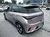 Фото 5 - BYD Dolphin