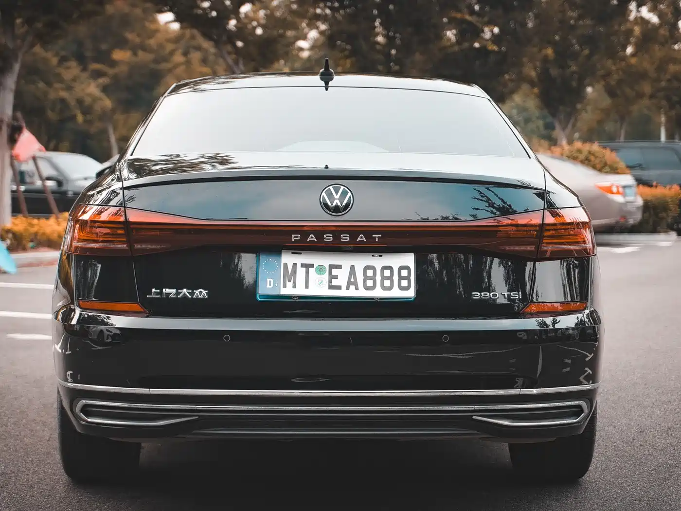 صورة 3 - Volkswagen Passat