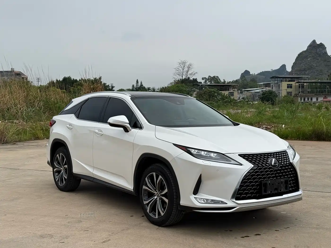 Lexus RX 2020 300 AWD Elegance Edition China V фото 2