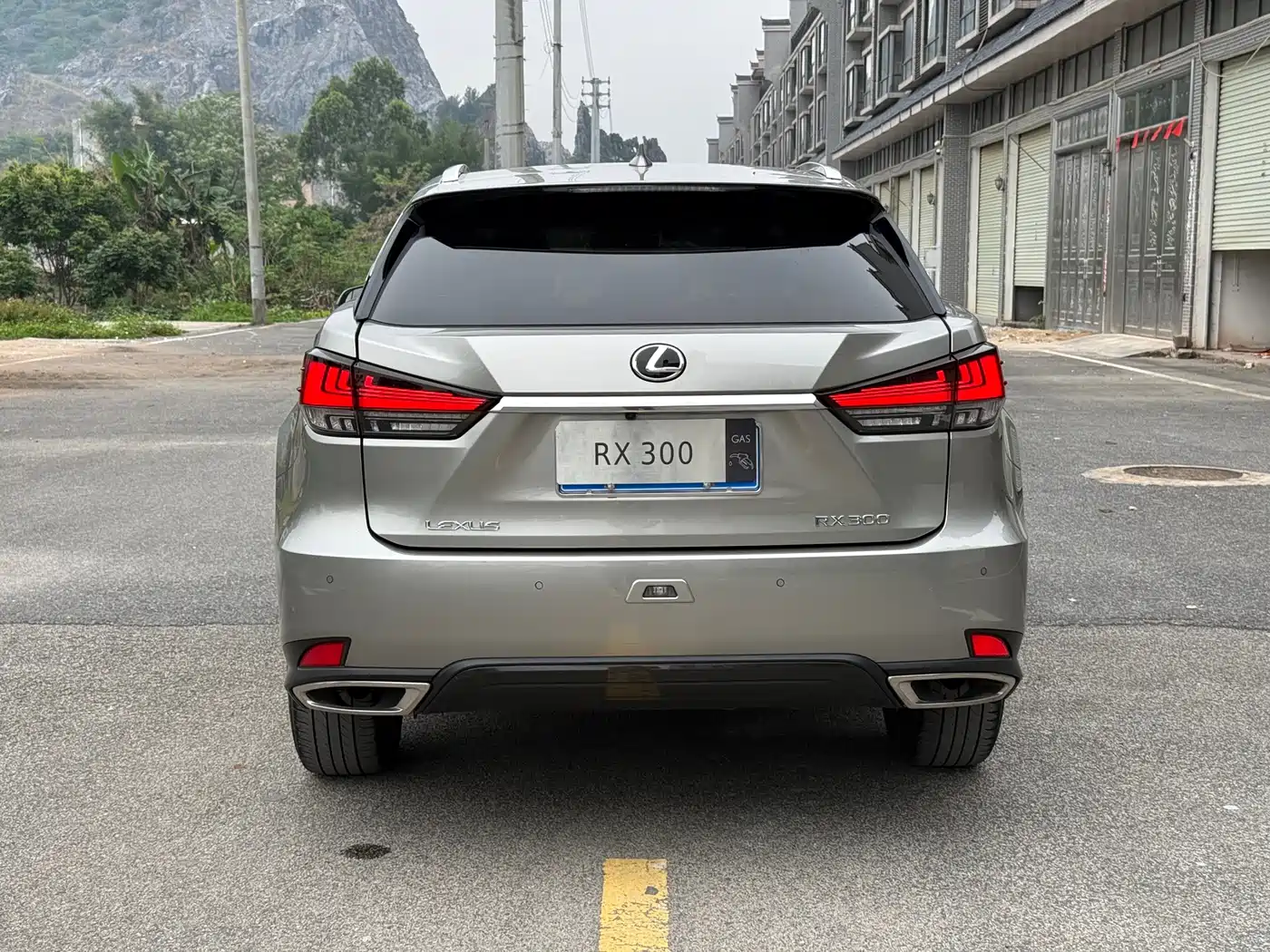 Lexus RX 2021 300 AWD Special Edition фото 14