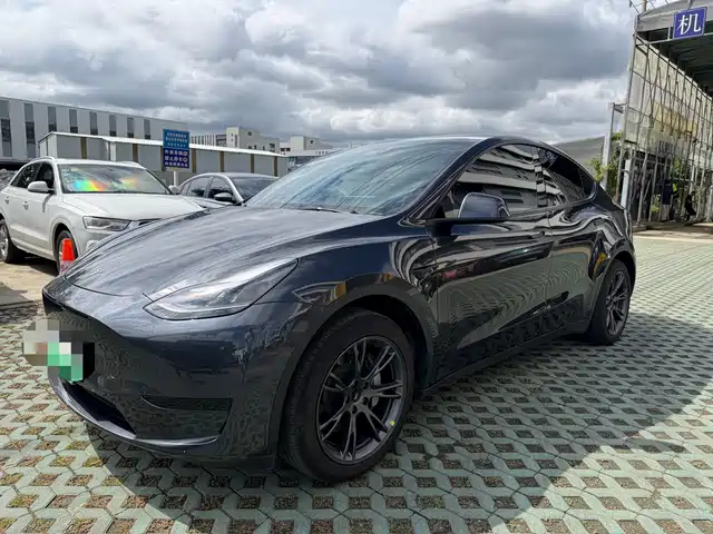 Tesla Model Y Задний привод
