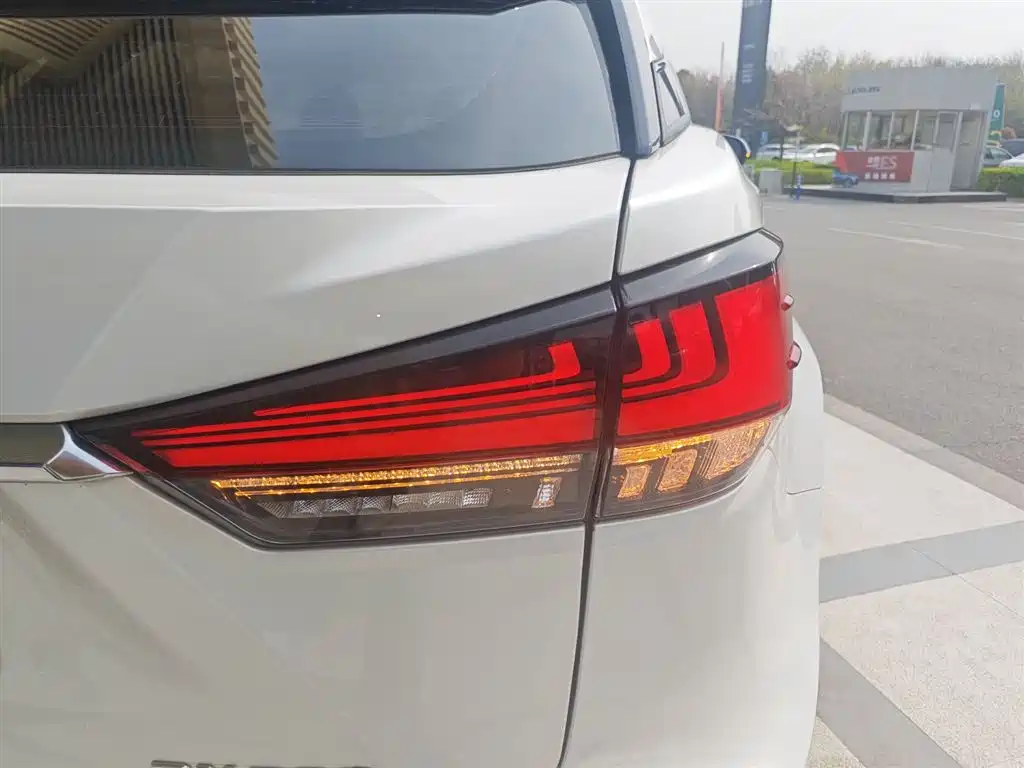 Lexus RX 2020 Facelift 300 2WD Elite Edition фото 8