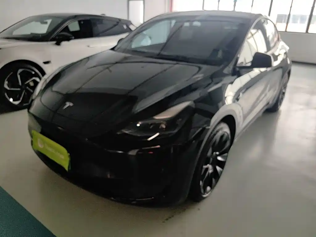 Tesla Model Y 2022 Rear-Wheel Drive Version
