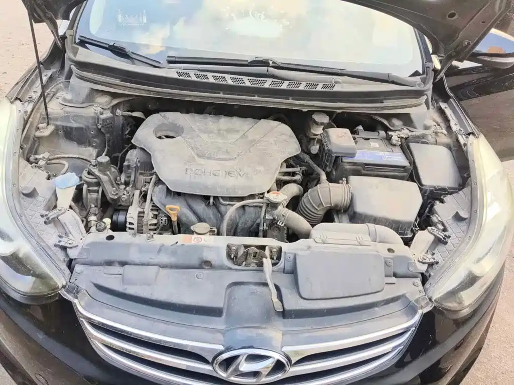 Фото 9 - Hyundai Langdong