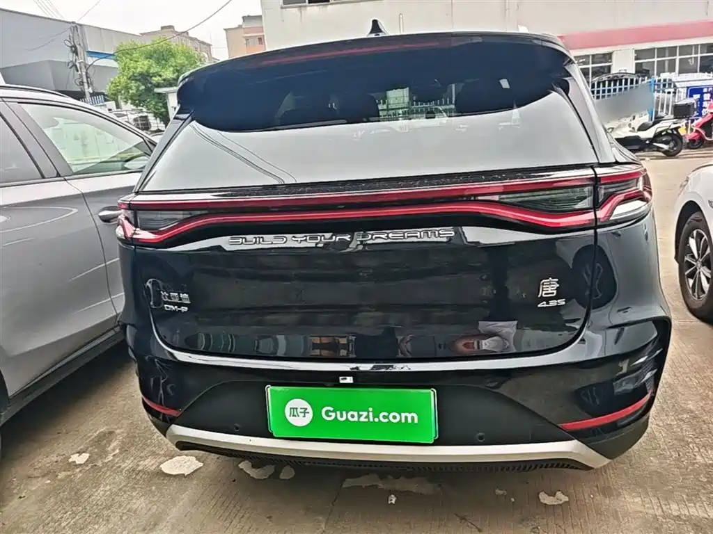BYD Tang New Energy 2022 DM-p 215KM AWD Executive фото 6