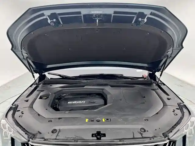 GAC Trumpchi Trumpchi GS8 2022 Pilot Series 2.0TGDI 2WD Premium Edition (7-Seater) фото 25