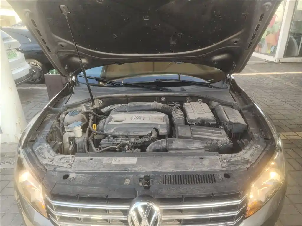 Volkswagen Passat 2014 1.8TSI DSG Luxury Edition фото 20
