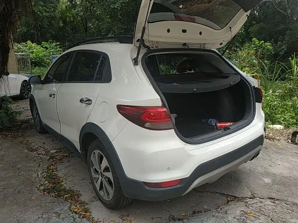 Kia KX CROSS 2017 1.4L AT GLS фото 5
