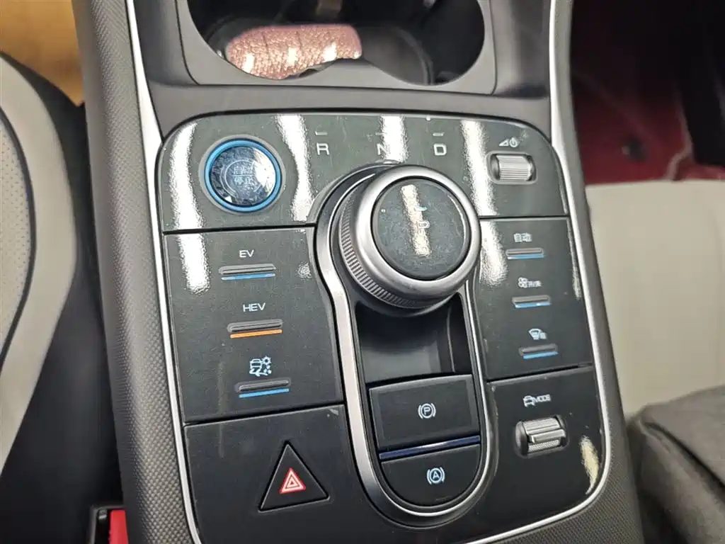 BYD Destroyer 05 2024 Glory Edition DM-i 120KM Luxury фото 14