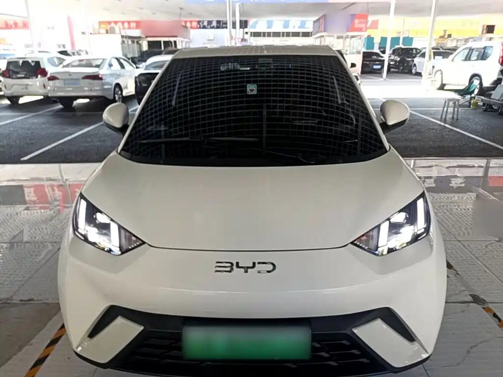 Фото 3 - BYD Seagull