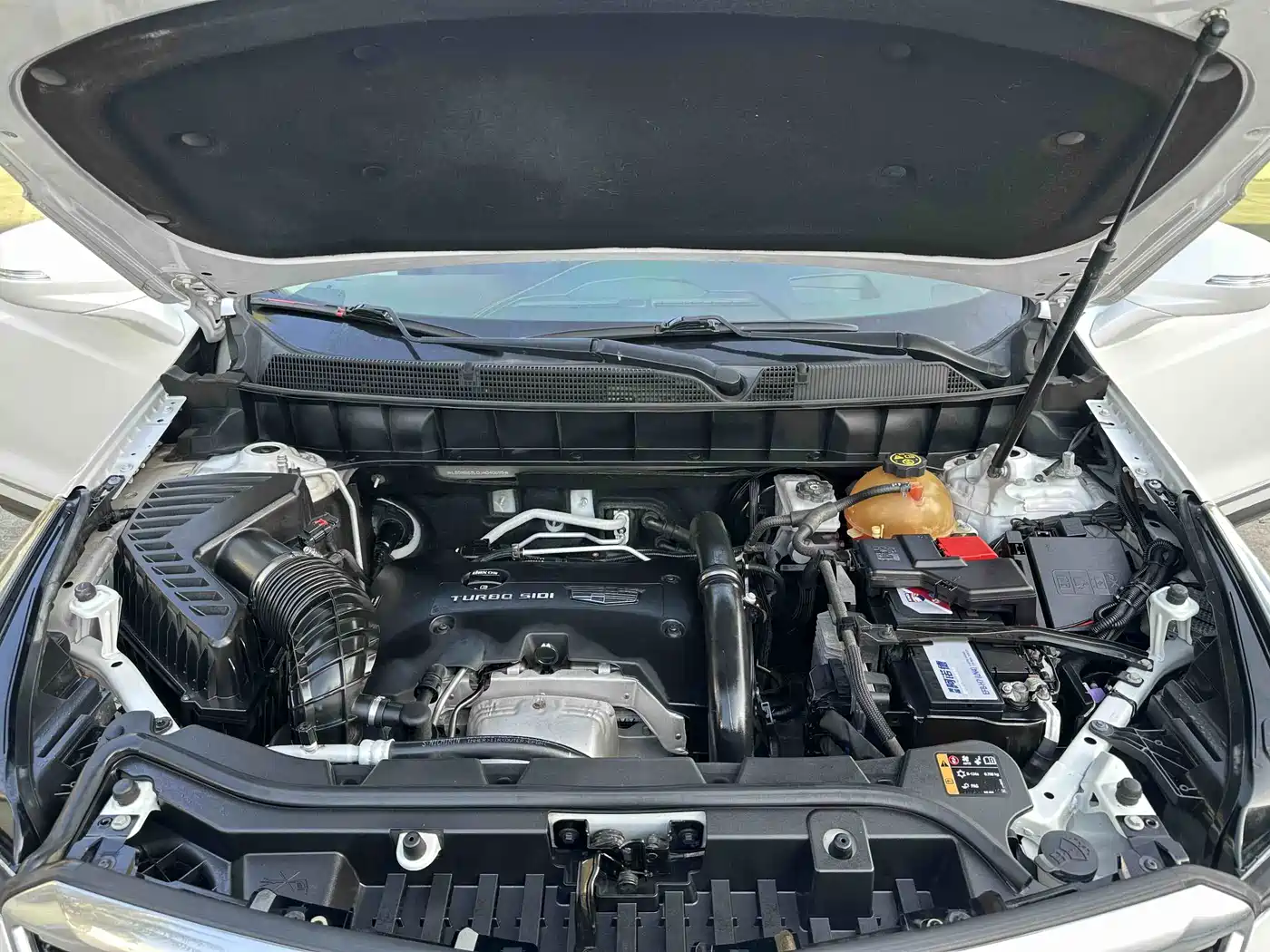 Cadillac XT5 2018 25T Luxury фото 14