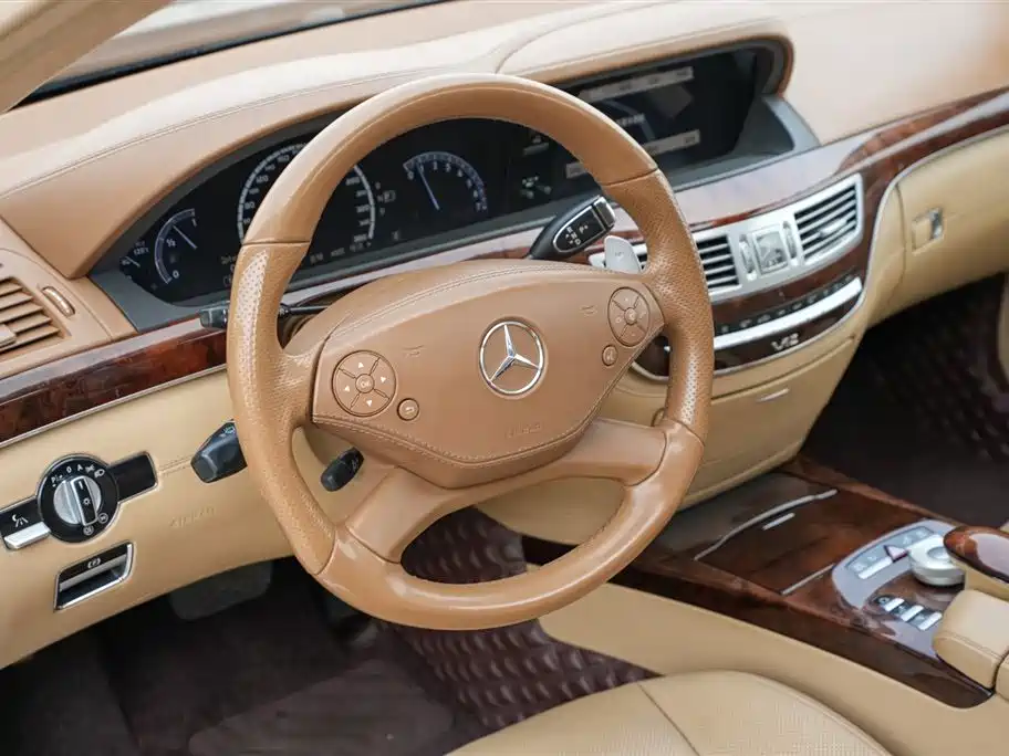 Mercedes-Benz S-Class 2010 S 600 L фото 18