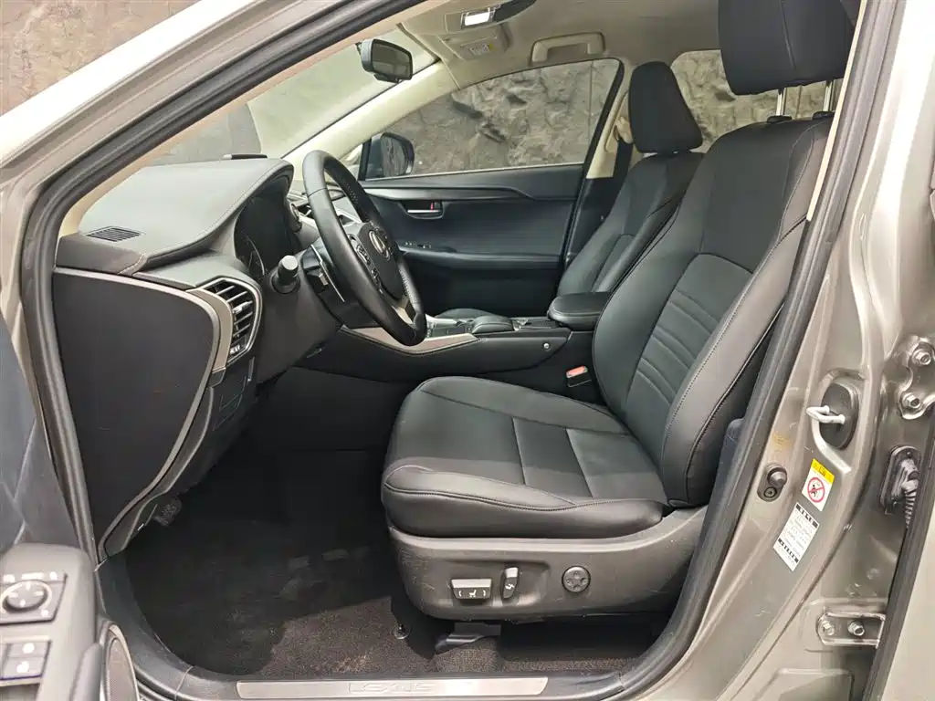 Lexus NX 2018 Model 200 FWD Fengxing Edition China V фото 8