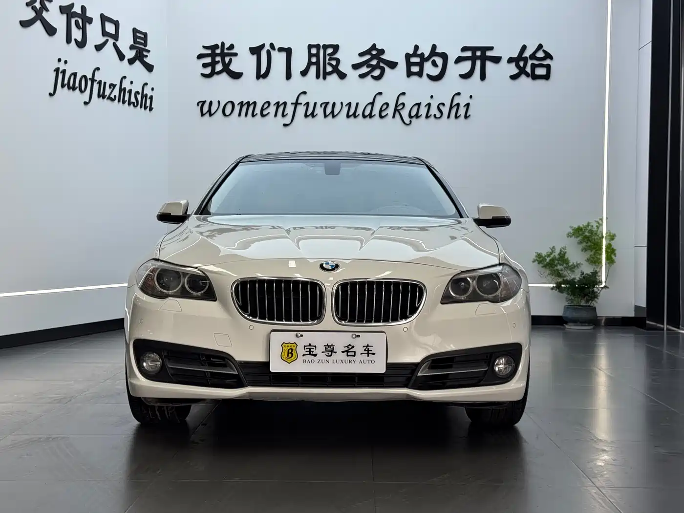 BMW 5 Series 2014 520Li Elegance