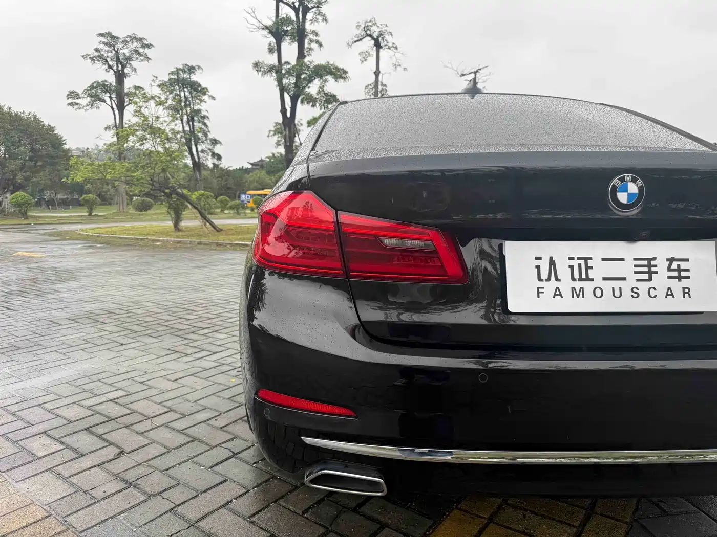 BMW 5 Series 2020 530Li Premium Luxury Package фото 23