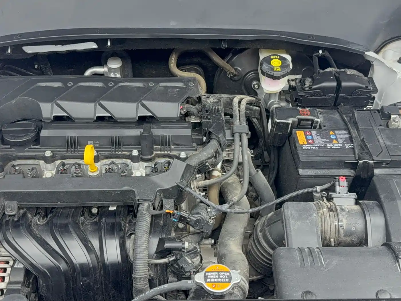 Kia Seltos 2023 1.5L CVT Premium Edition фото 19