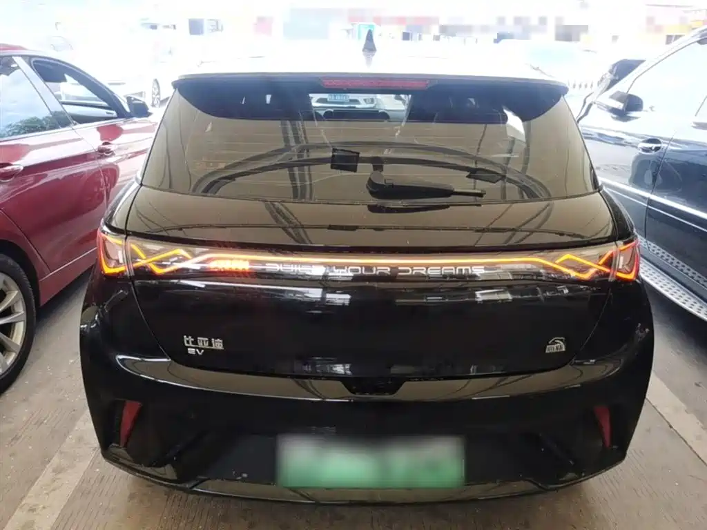 BYD Dolphin 2023 420km Fashion Edition фото 6