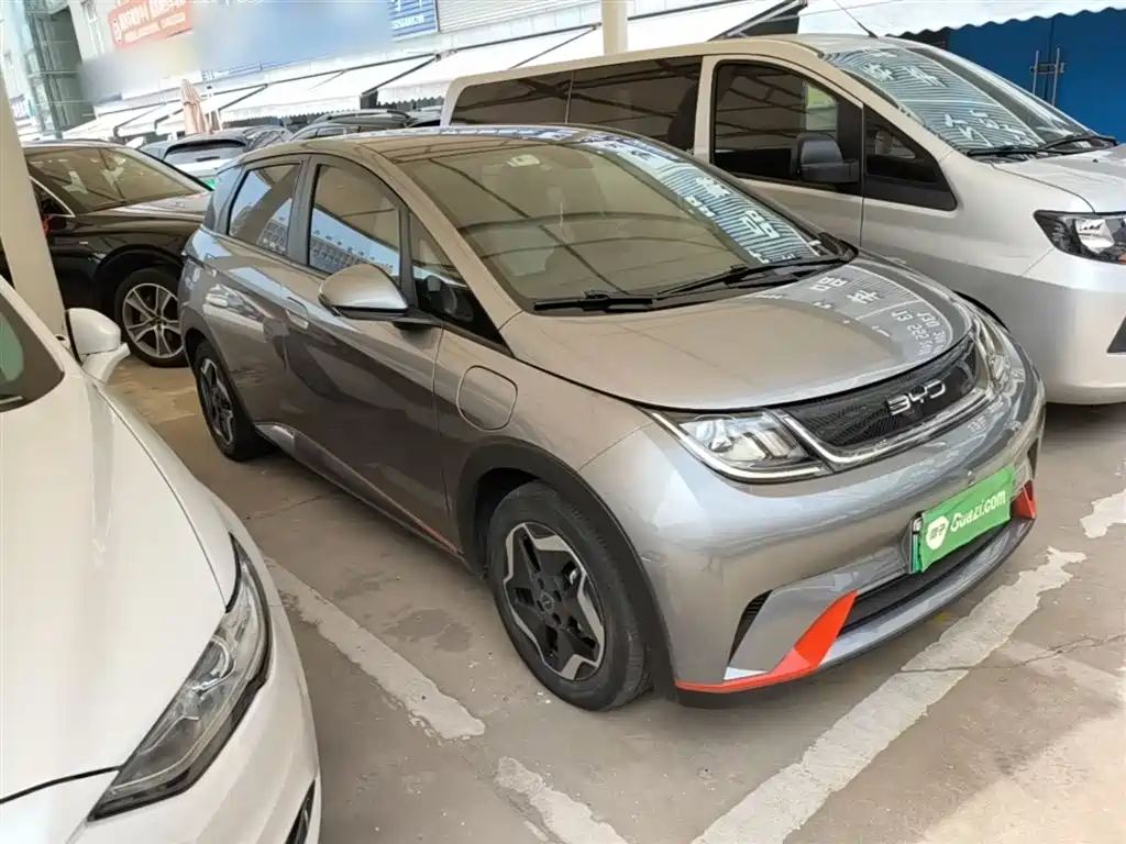 BYD Dolphin 2021 Model 405km Fashion Edition фото 4