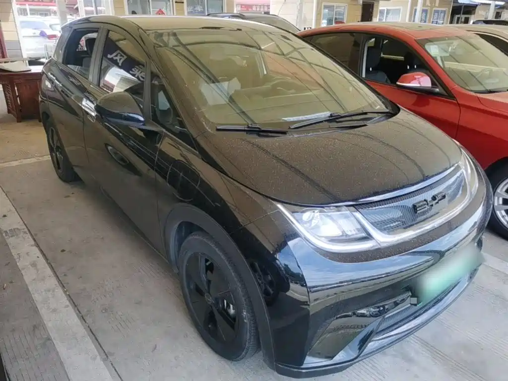BYD Dolphin 2023 420km Fashion Edition фото 4