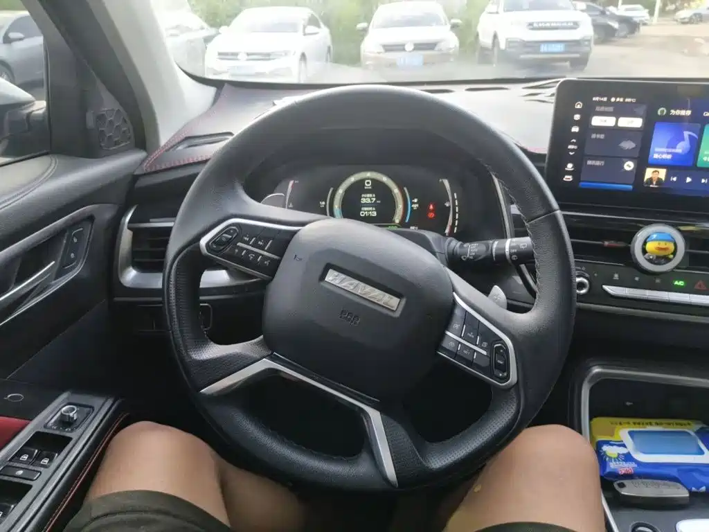Фото 3 - Haval H6