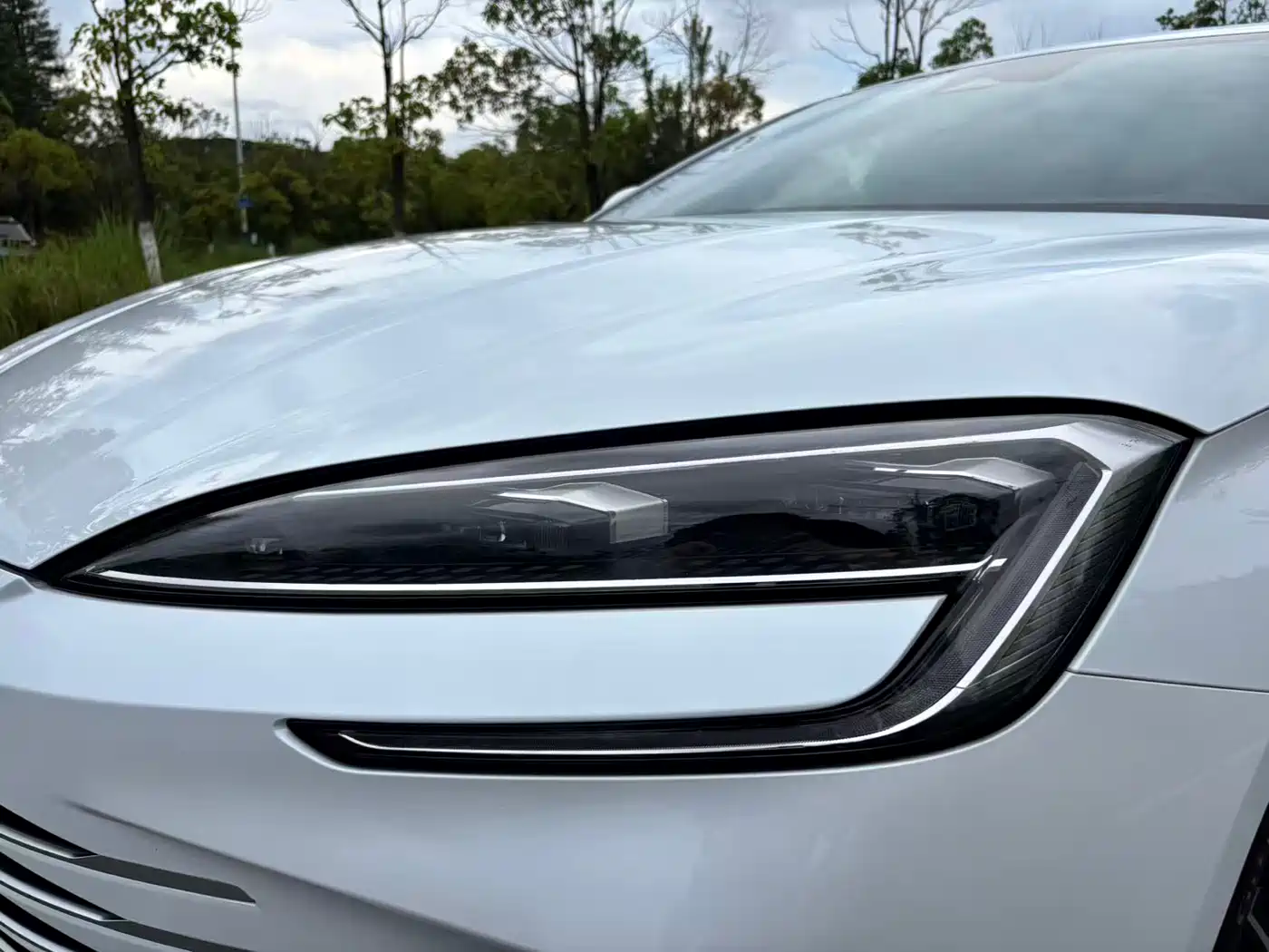 BYD Seal 2024 2023 DM-i 1.5T 121km Premium