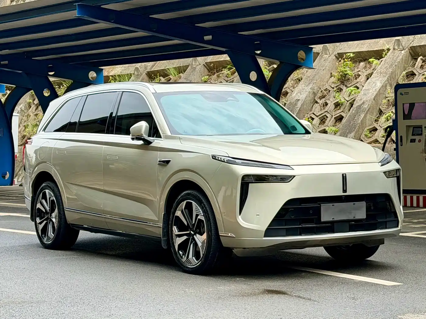 WEI PAI WEI BRAND BLUE MOUNTAIN