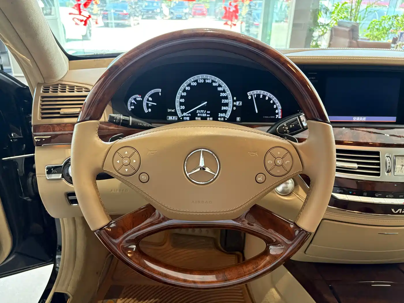 Mercedes-Benz S-Class 2010 S 600 L фото 13