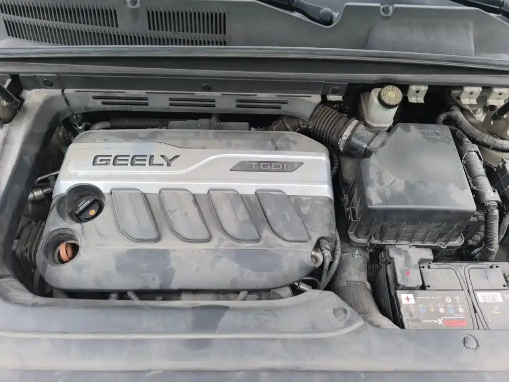 صورة 21 - Geely Atlas