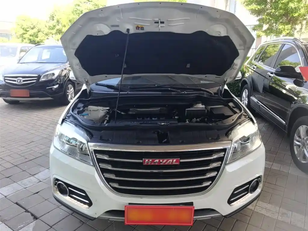 Haval H6 2017 Red Label Sport 1.5T Automatic 2WD Luxury фото 20
