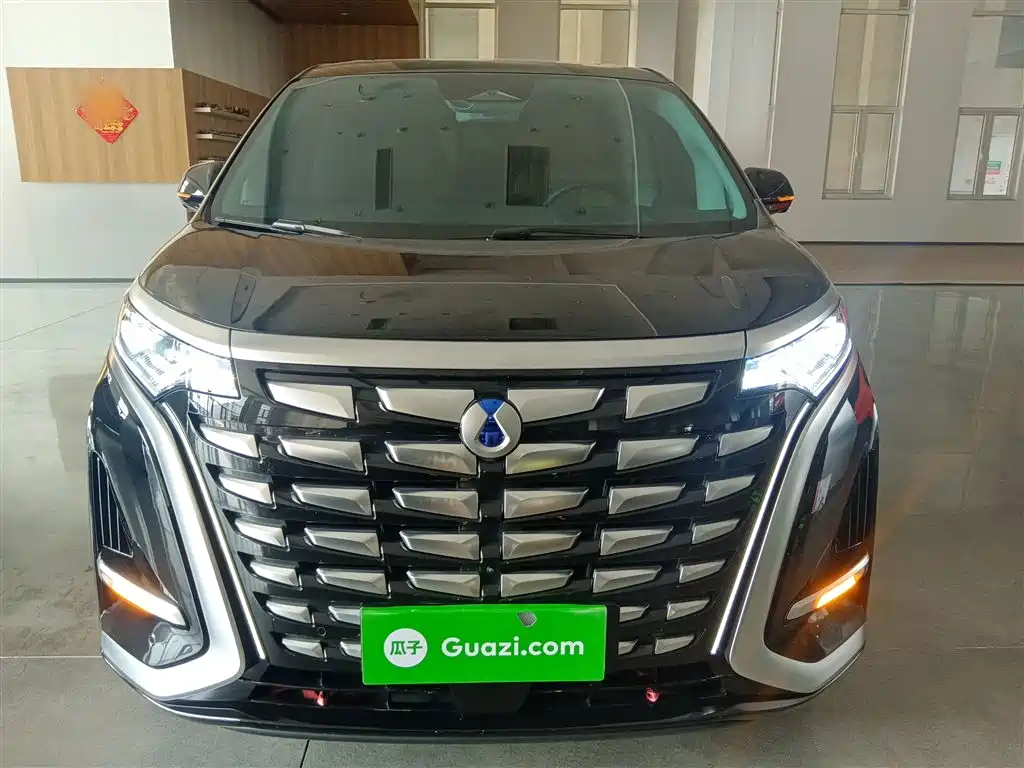 Denza D9 2024 DM-i 980 AWD Prestige фото 3