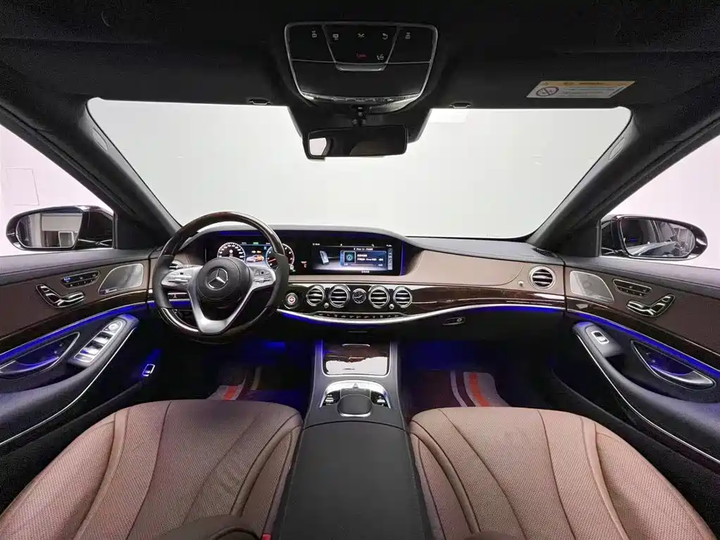 Mercedes-Benz S-Class 2020 S 350 L Premium Edition Collector's Version фото 13