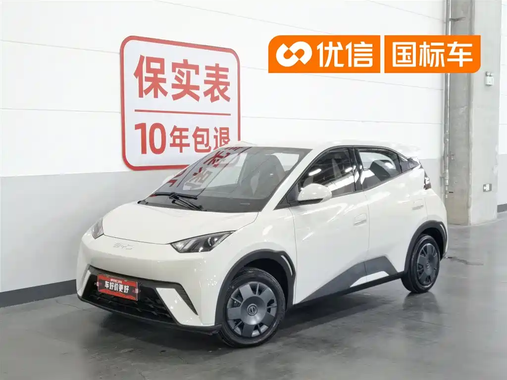 BYD Seagull 2024 Glory Edition 305km Vitality Edition