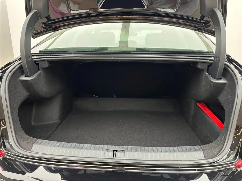 Volkswagen Passat 2022 330TSI Starlight Luxury Edition фото 6