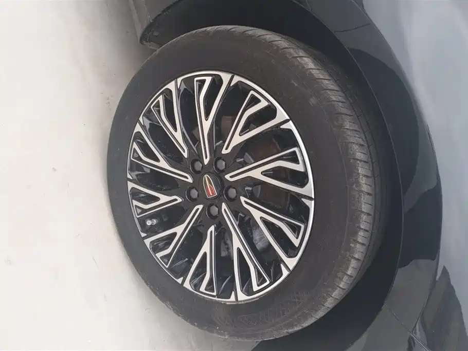 Hongqi H5 2023 2.0T Auto Smart Connect Flag Comfort фото 6