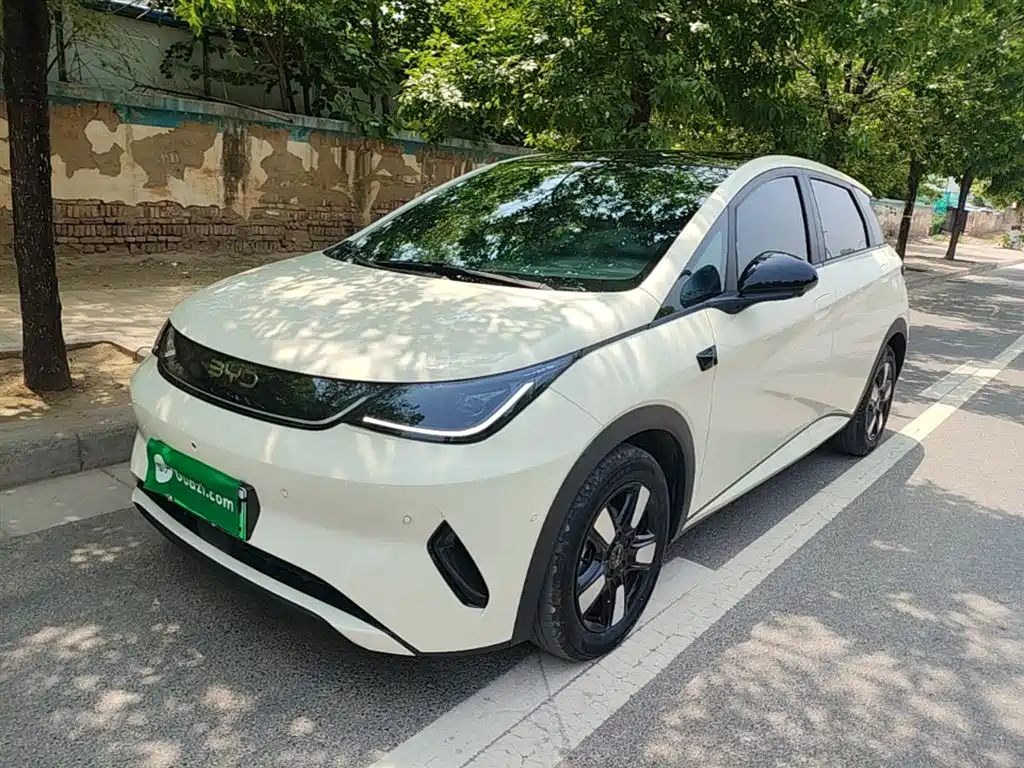 BYD Dolphin 2025 Smart Drive Edition 410km Fashion Version