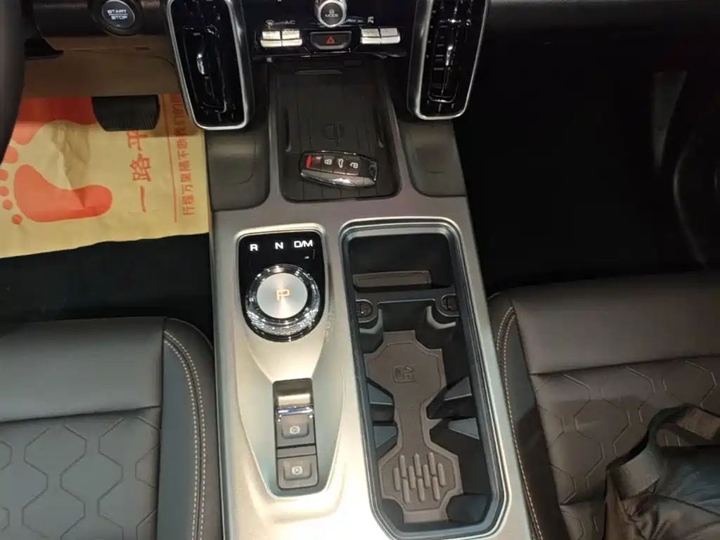 Haval Big Dog 2025 2024 1.5T DCT Border Collie Edition