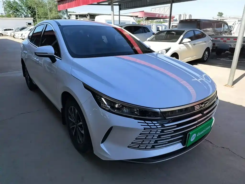 BYD Destroyer 05 2024 Glory Edition DM-i 55KM Luxury фото 4